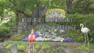 「歓迎遠足(王子動物園)」の画像